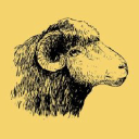 THE COZY SHEEP
